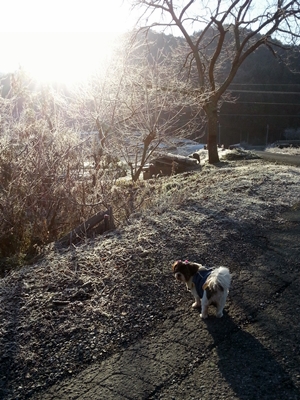 20130101_084829.jpg
