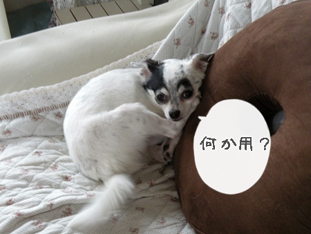 DSCN9721.jpg
