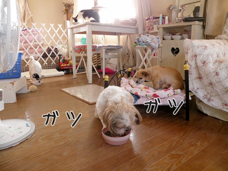 DSCN9848.jpg