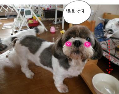 DSCN9864.jpg