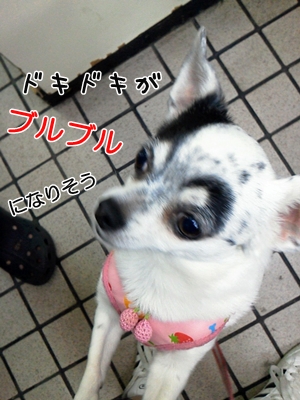 NEC_0729.jpg