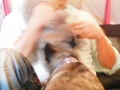 H261012shane09.jpg