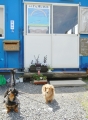 H261016shinagawa03.jpg