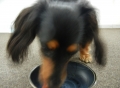 H261101DIANA09.jpg