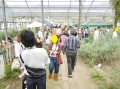 H261102StarMarket06.jpg