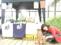 H261102StarMarket10.jpg