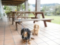 H261103Buono!07.jpg