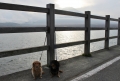 H261108yamanashi20.jpg