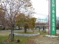 H261109yamanashi39.jpg