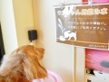 H261122ionmall05.jpg