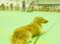 H261209NEWS06.jpg