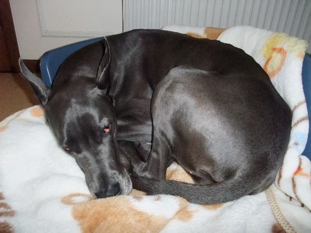 2011_01300011.jpg