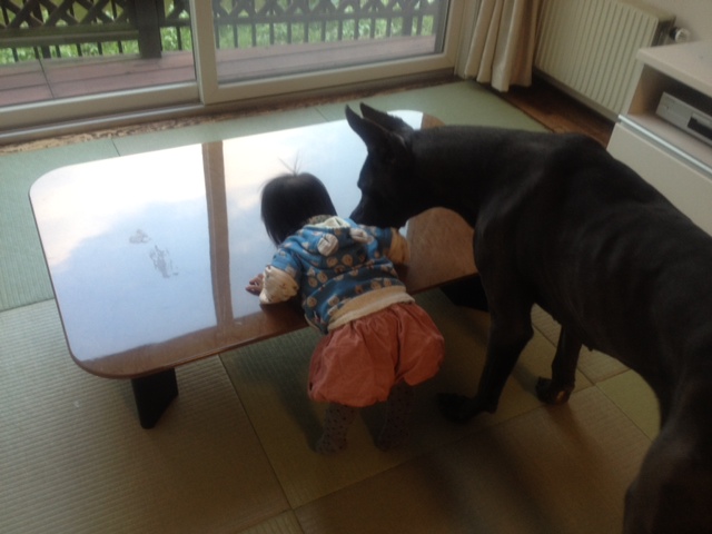 20121113b.jpg