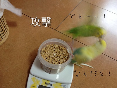 5s-IMG_3128.jpg