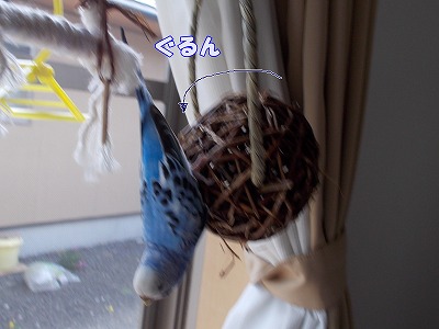 s-DSCN0241.jpg