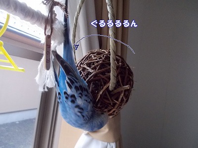 s-DSCN0244.jpg