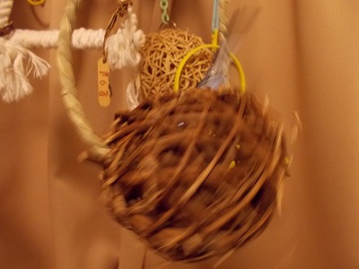 s-DSCN0294.jpg