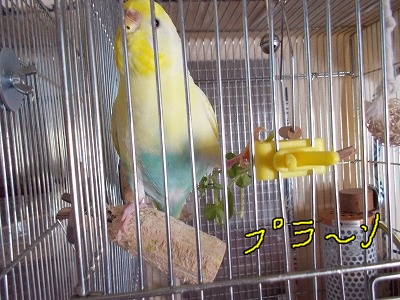 s-DSCN0328.jpg
