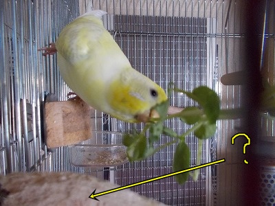 s-DSCN0329.jpg