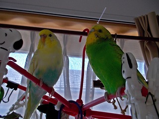 s-DSCN0513.jpg