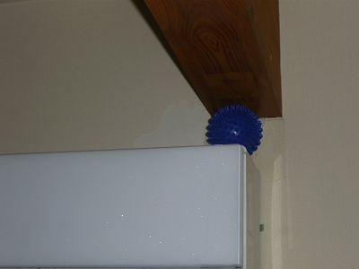 s-P1140331.jpg