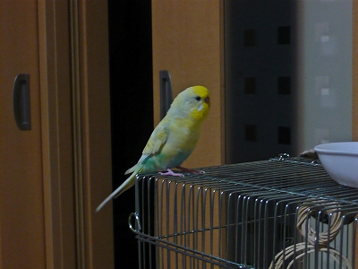 s-P1140334.jpg