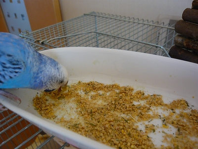 s-P1140420.jpg