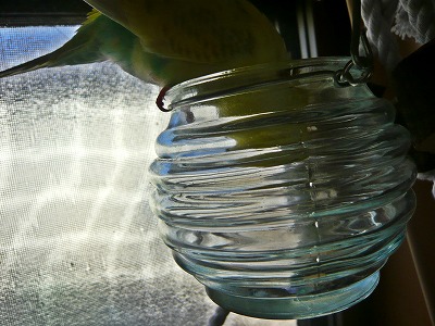s-P1140813.jpg