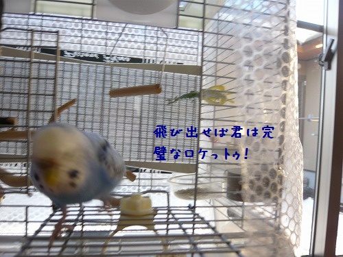 s-P1230133.jpg