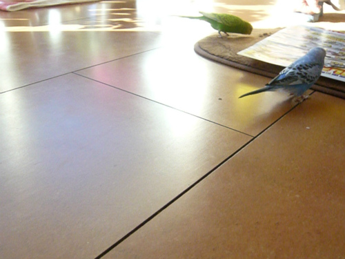 sP1220328.jpg