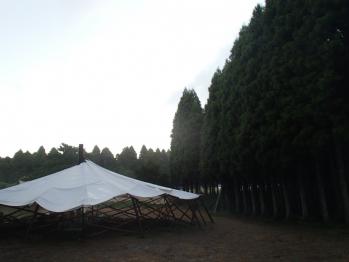 P9170045.jpg