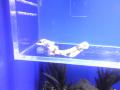 20120610134827308.jpg