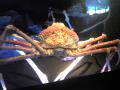 20120610134829412.jpg