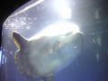20120610134832782.jpg