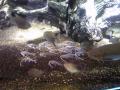 20120610134834162.jpg