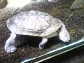 20120610140211634.jpg