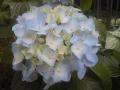 20120702212624642.jpg