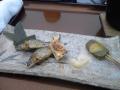 20120702213217721.jpg