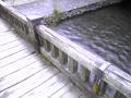 20120702213631894.jpg