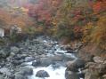 DSC_0160.jpg