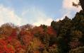 DSC_0185.jpg