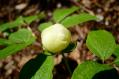 DSC_5391.jpg