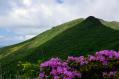 DSC_6058.jpg