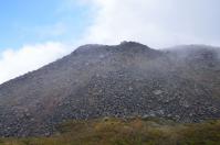 DSC_7393.jpg