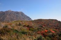 DSC_7410.jpg