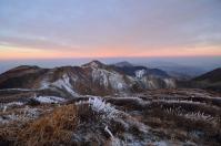 DSC_7836.jpg