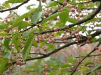IMG_0191.jpg