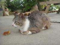 s-DSC04475.jpg