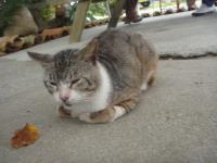s-DSC04476.jpg
