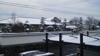 s-P1010884.jpg